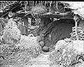 301580054.jpg
