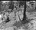 301580061.jpg