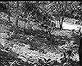 301580062.jpg