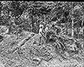 301580064.jpg