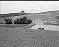 301580067.jpg