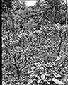 301580070.jpg