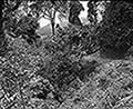 301580077.jpg