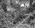 301580078.jpg