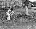 301580088.jpg