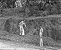 301580095.jpg