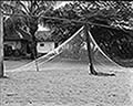 301590066.jpg
