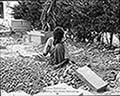 301610024.jpg