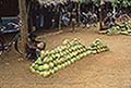 301620012.jpg