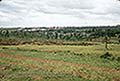 301620034.jpg