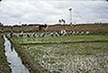 301620038.jpg