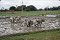301620040.jpg