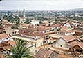 301620054.jpg