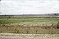 301620081.jpg