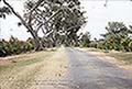 301620086.jpg
