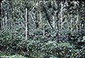 301620111.jpg