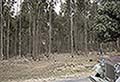 301620243.jpg