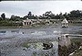 301620245.jpg