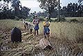301630018.jpg