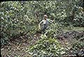 301630037.jpg