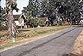 301630043.jpg