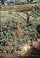 301630049.jpg