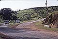 301630075.jpg