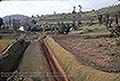 301630083.jpg