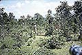 301630144.jpg