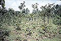301630145.jpg