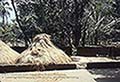 301630149.jpg