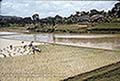 301640003.jpg