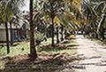 301640011.jpg