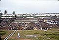 301640013.jpg