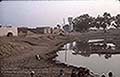 301650077.jpg