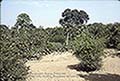 301650099.jpg