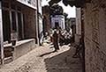 301650104.jpg
