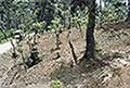 301660012.jpg