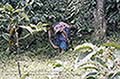 301660031.jpg
