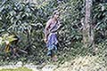301660033.jpg