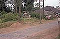 301660050.jpg