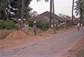 301660051.jpg