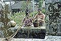 301660054.jpg