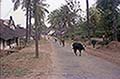 301660055.jpg