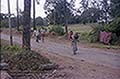 301660056.jpg