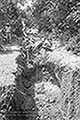 301660069.jpg