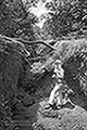 301660071.jpg