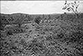 301660075.jpg