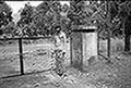 301660079.jpg