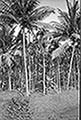 301660085.jpg